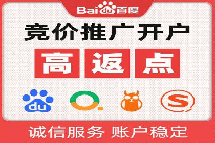XX领域竞价广告的投放策略及效果展示